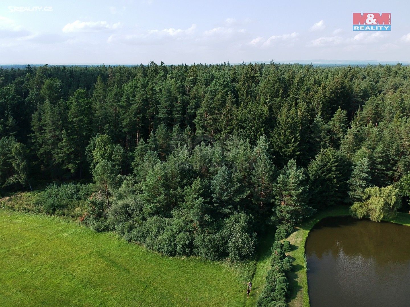 Prodej  lesa 5 277 m², Košice, okres Tábor