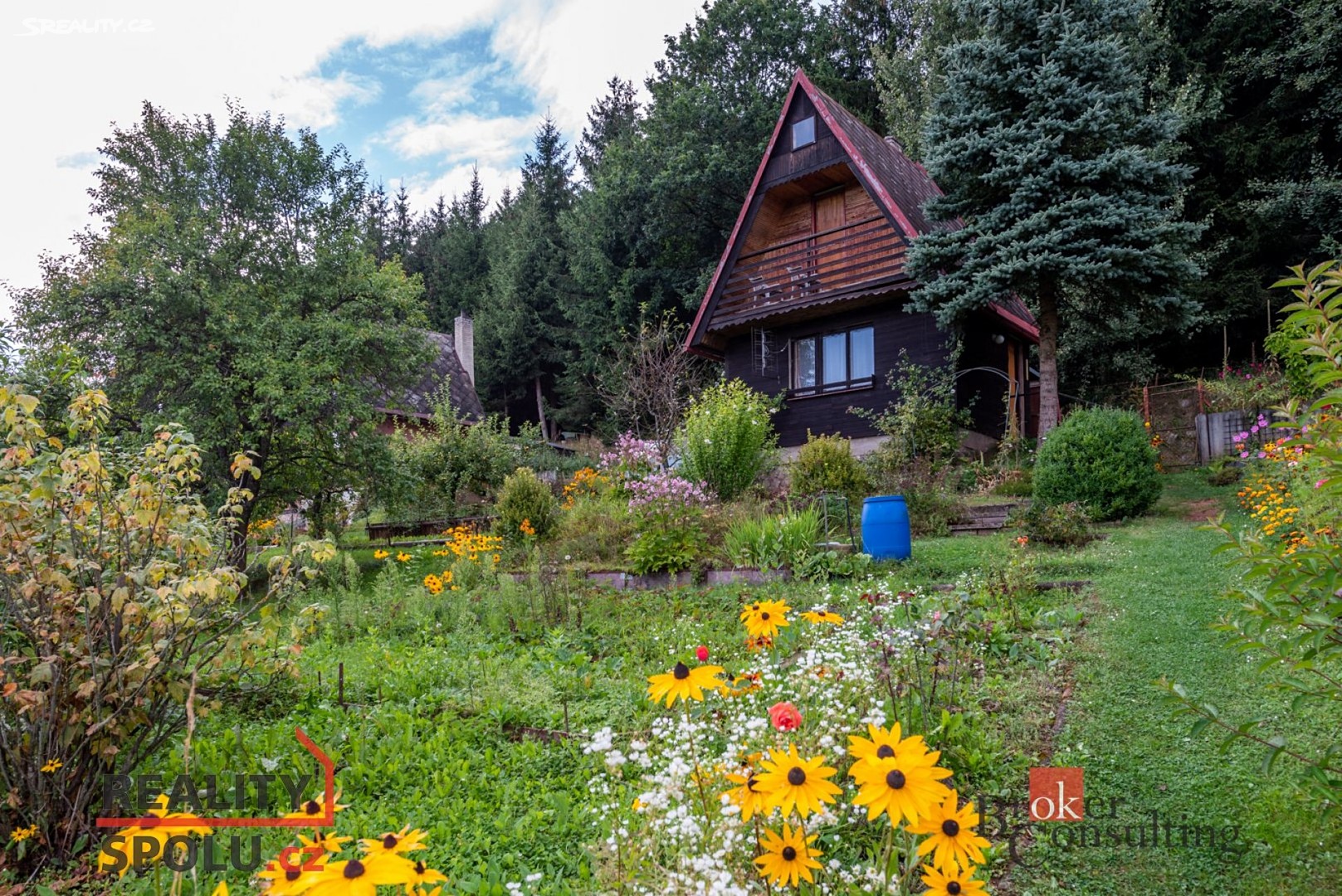 Prodej  chaty 35 m², pozemek 380 m², Vlčická, Trutnov - Horní Staré Město