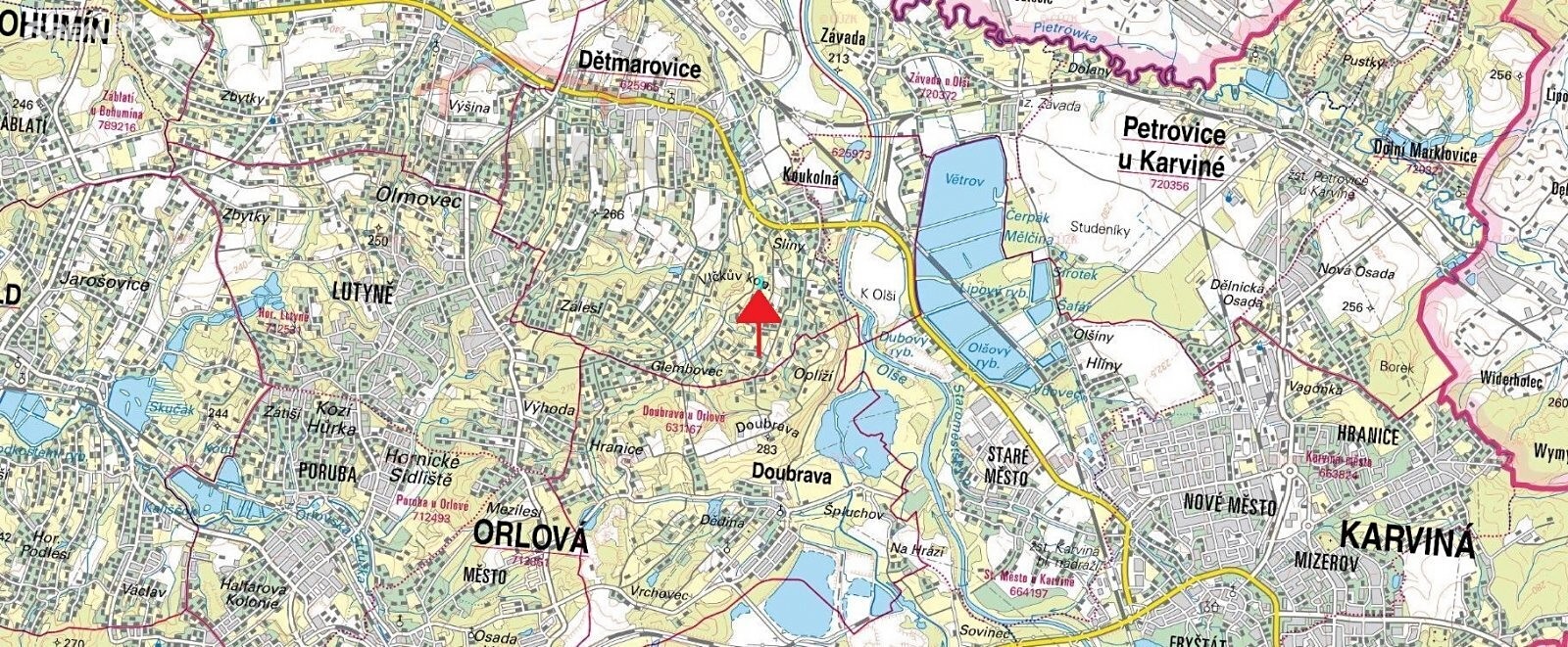 Prodej  lesa 6 245 m², Dětmarovice, okres Karviná