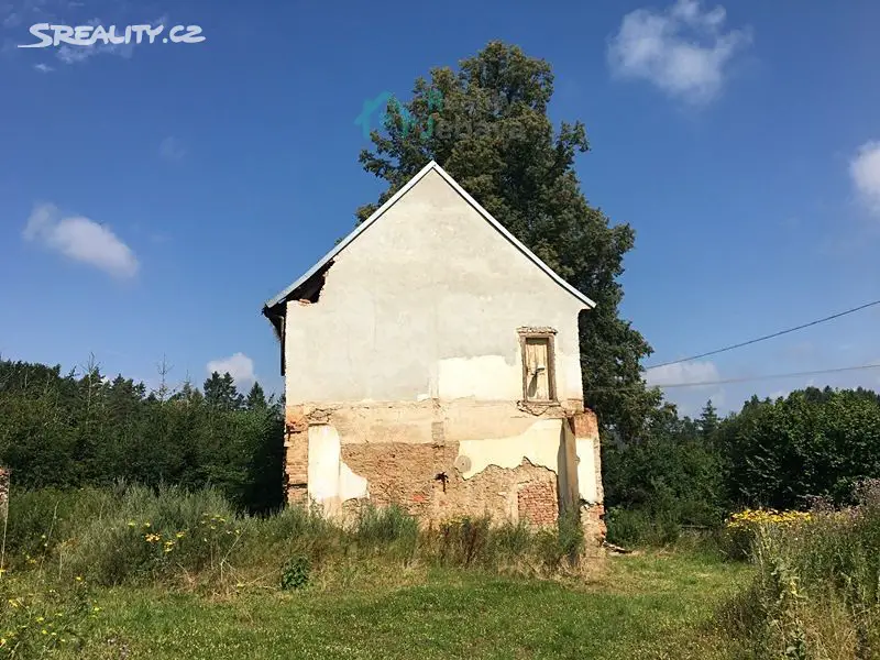 Prodej  chaty 450 m², pozemek 1 511 m², Věž - Skála, okres Havlíčkův Brod