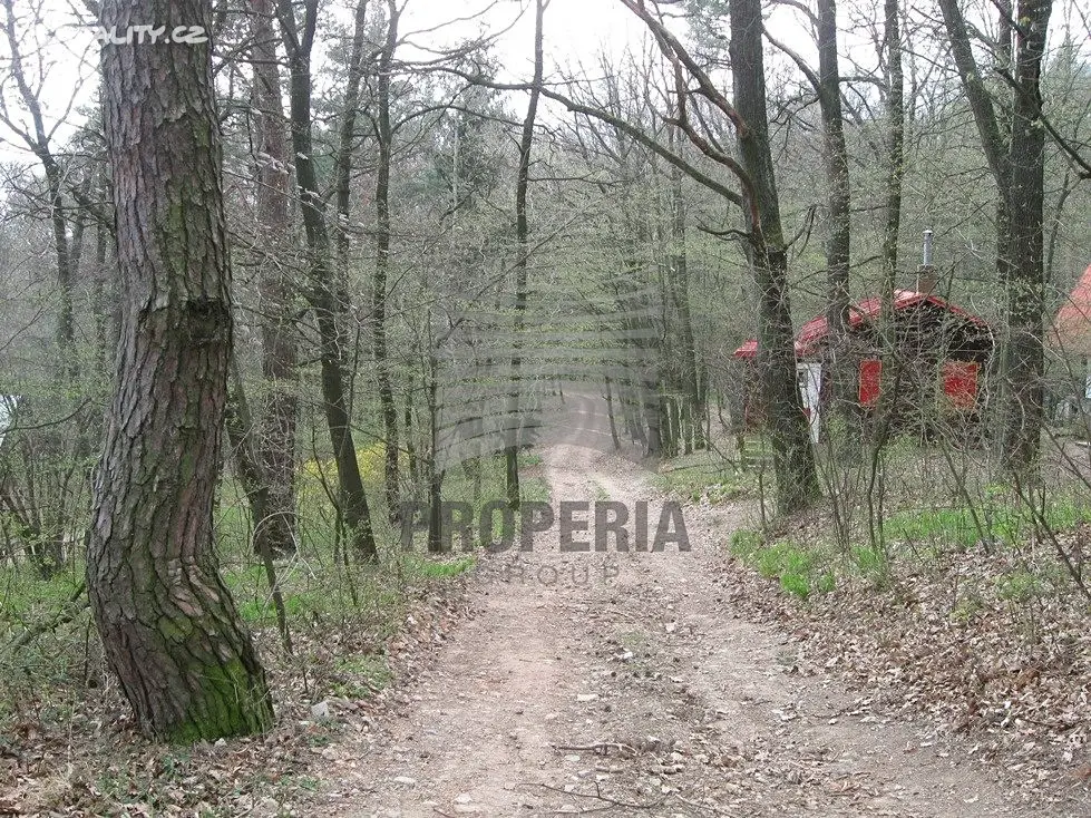Prodej  lesa 680 m², Moravany, okres Hodonín