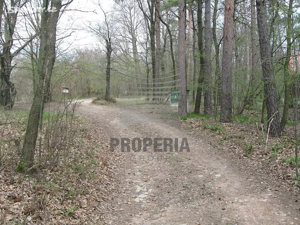 Prodej  lesa 680 m², Moravany, okres Hodonín