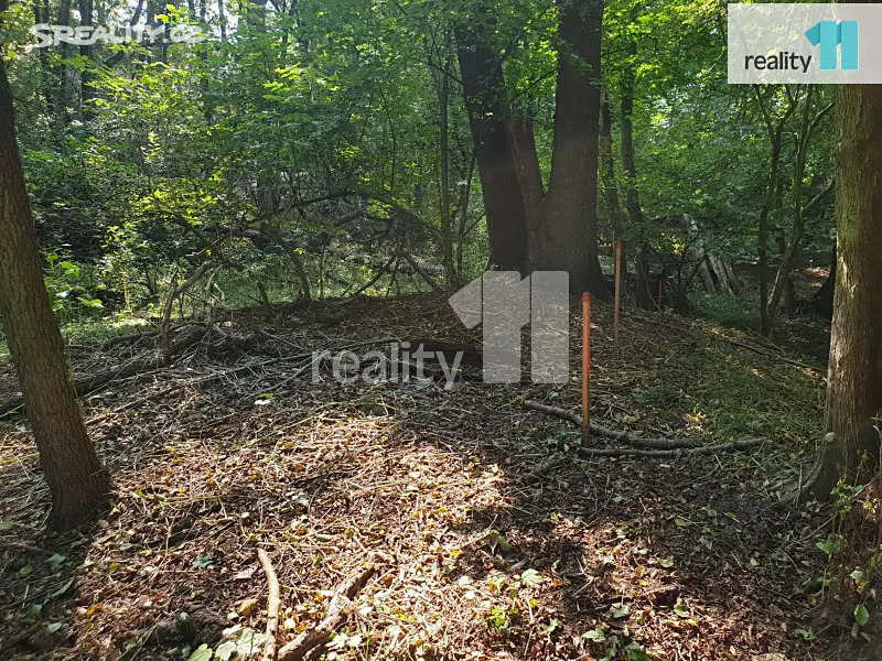 Prodej  lesa 3 050 m², Jesenice - Osnice, okres Praha-západ