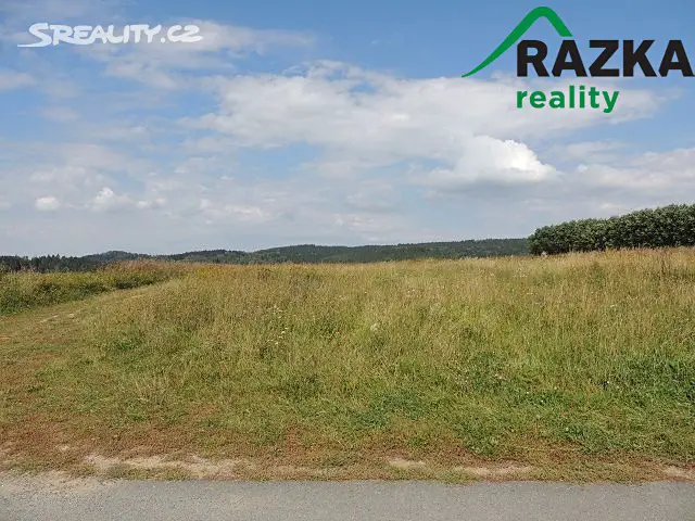 Prodej  stavebního pozemku 2 985 m², Hošťka, okres Tachov