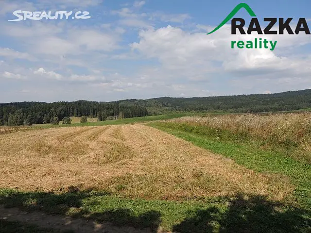 Prodej  stavebního pozemku 2 415 m², Hošťka, okres Tachov