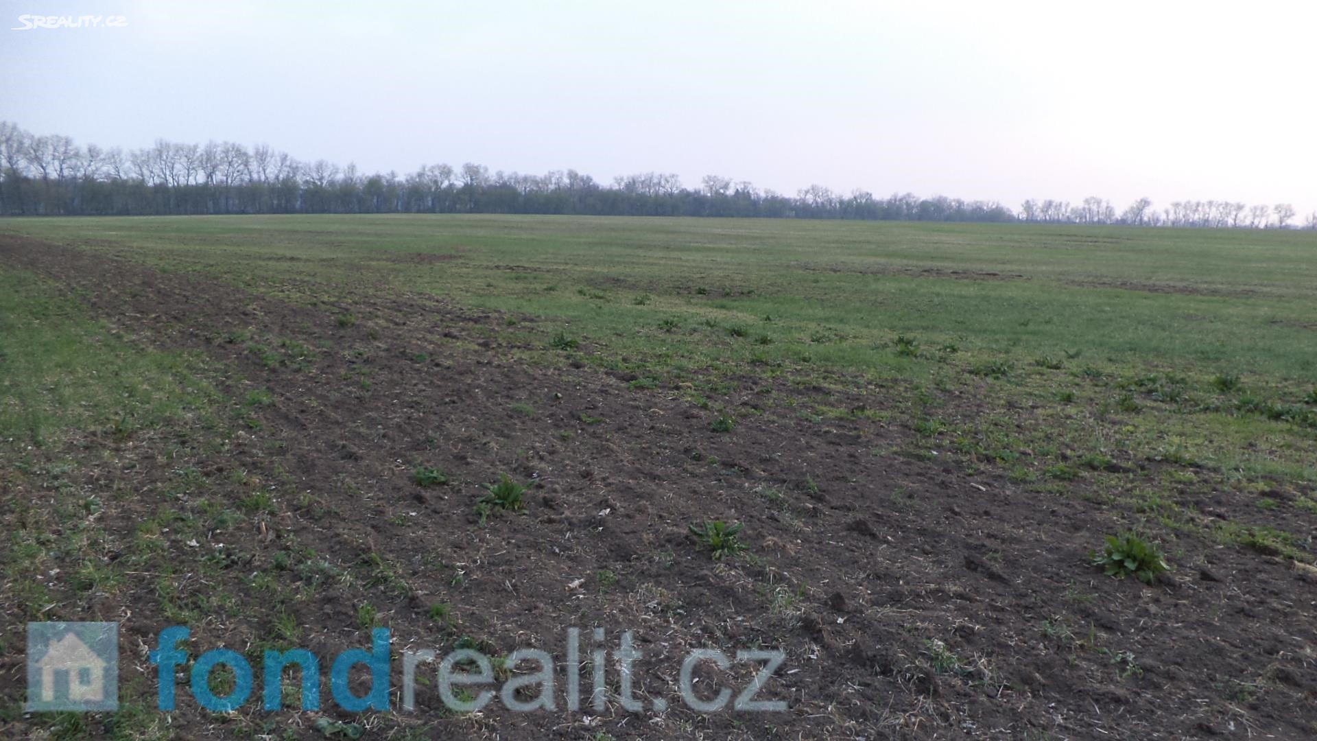 Prodej  pozemku 8 844 m², Rohatec, okres Hodonín