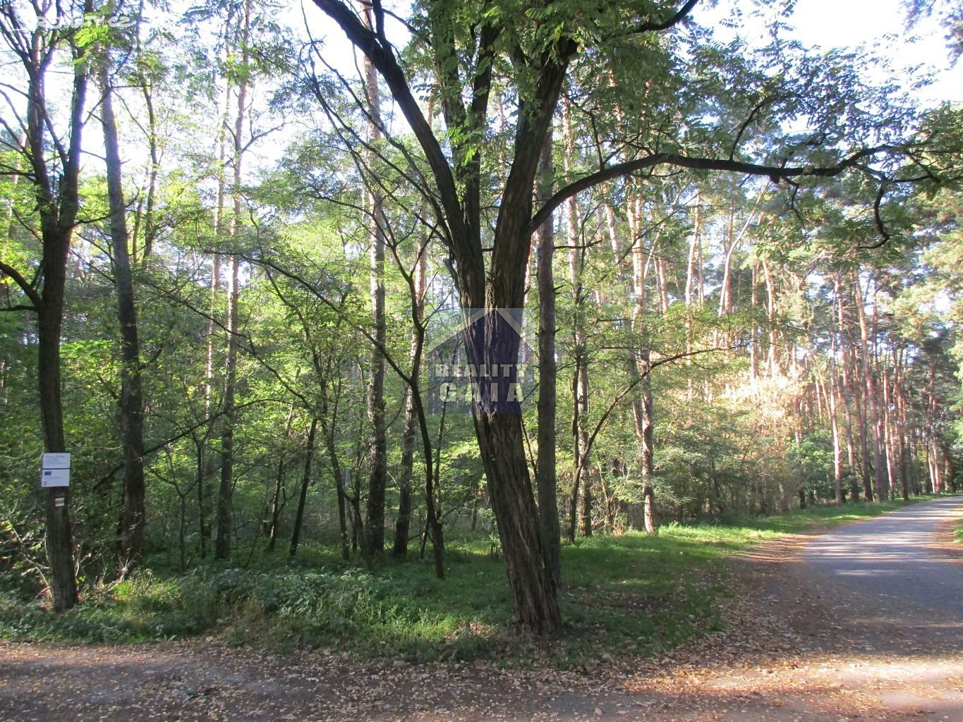 Prodej  lesa 2 664 m², Vracov, okres Hodonín