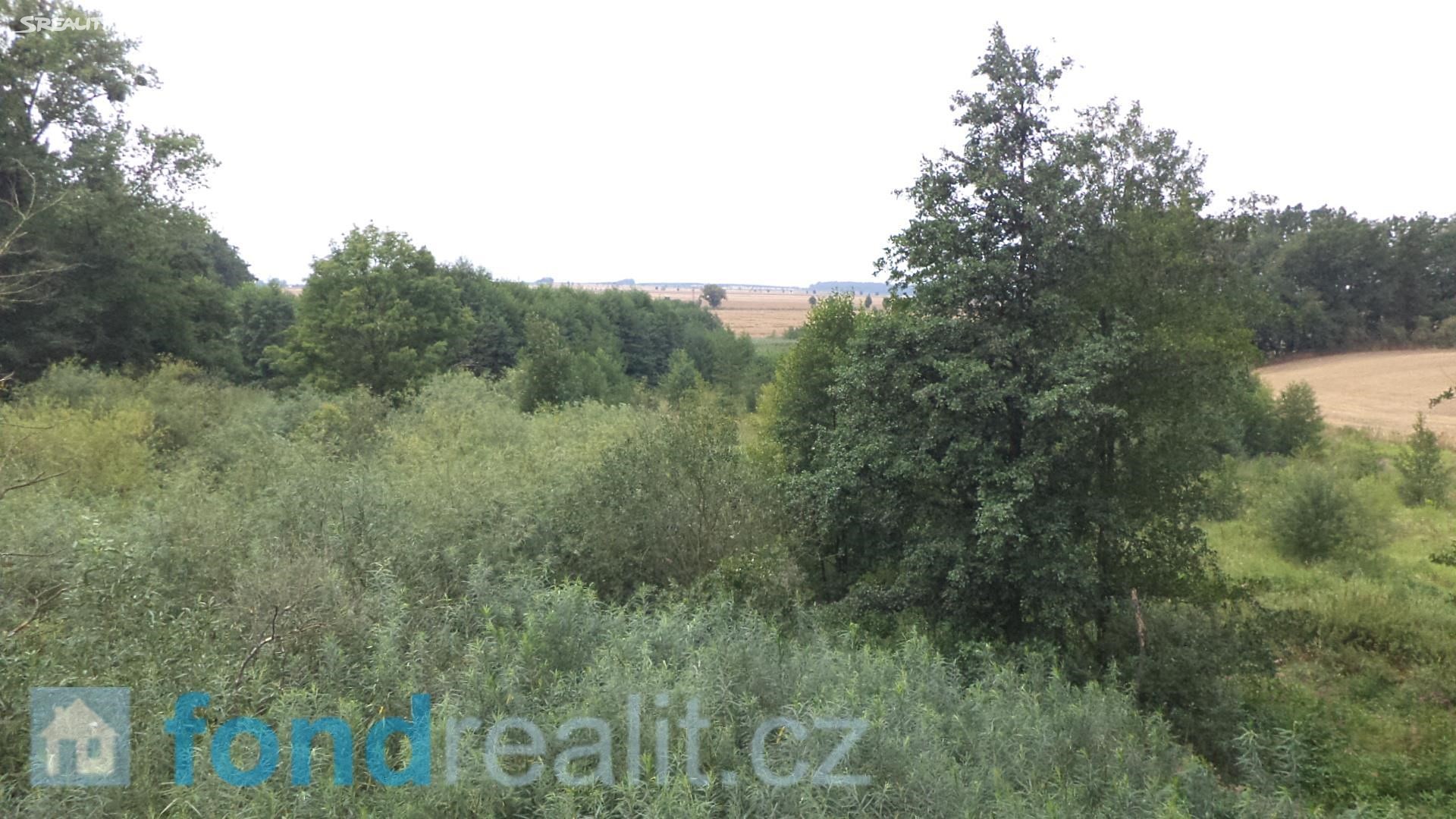 Prodej  pozemku 8 942 m², Bohuslavice, okres Opava