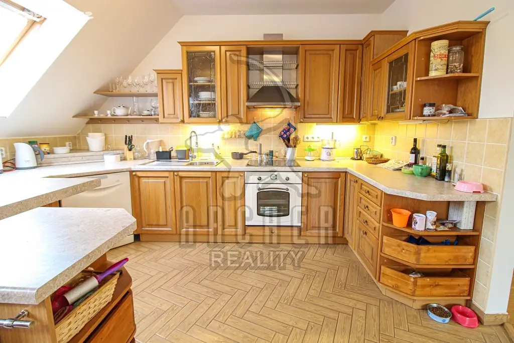 Prodej  rodinného domu 520 m², pozemek 2 560 m², Vraňany, okres Mělník