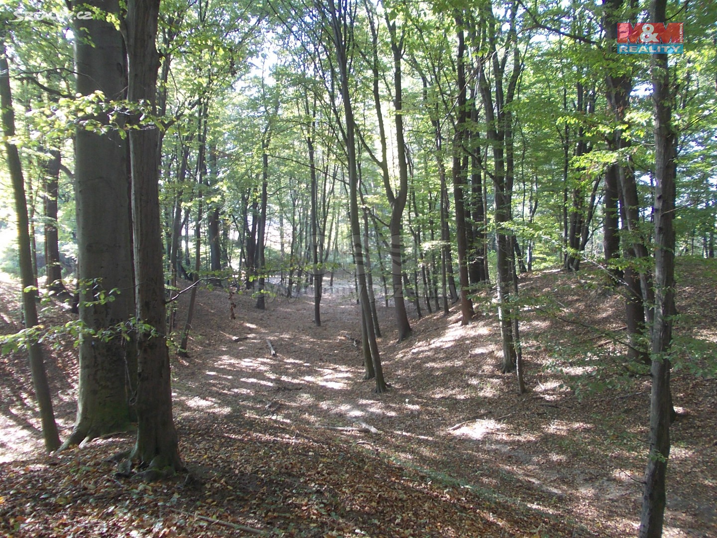 Prodej  lesa 18 338 m², Ostrava - Stará Bělá, okres Ostrava-město