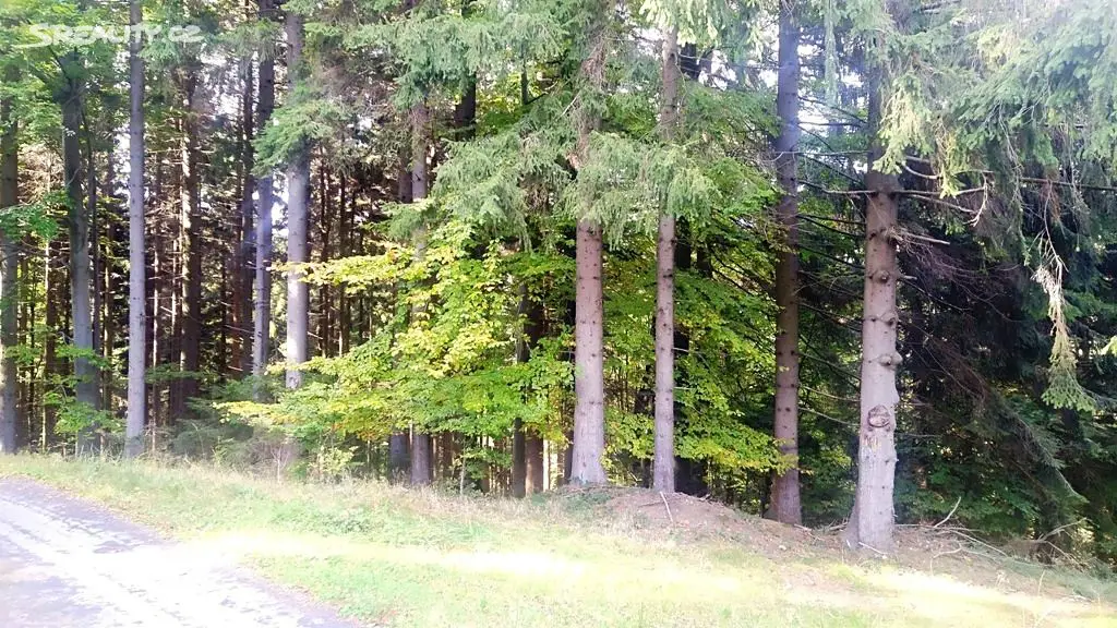 Prodej  lesa 1 358 m², Valašská Bystřice, okres Vsetín