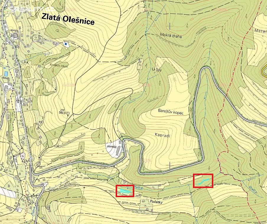 Prodej  lesa 969 m², Zlatá Olešnice, okres Jablonec nad Nisou