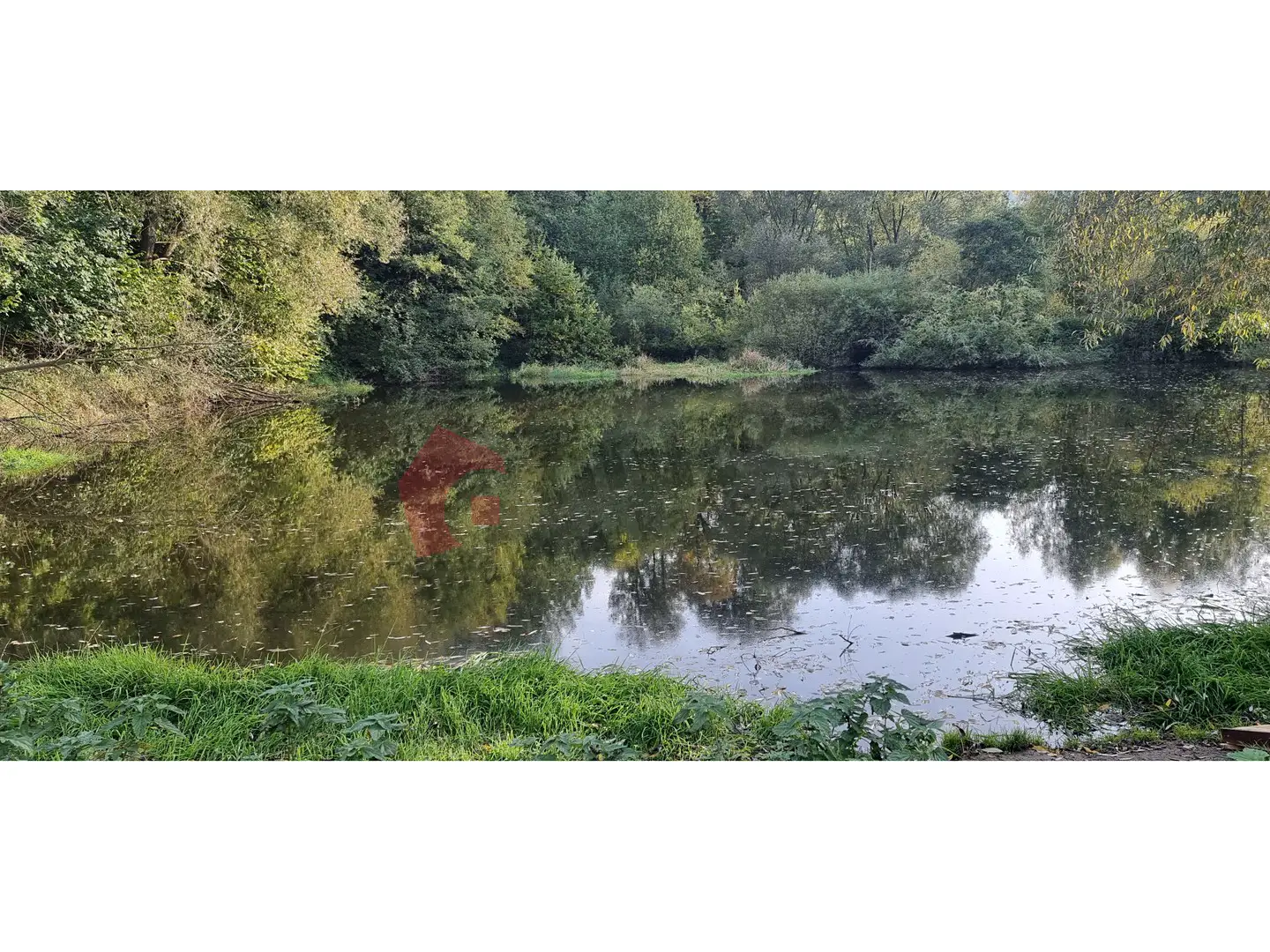 Prodej  rybníku (vodní plochy) 4 942 m², Česká Ves, okres Jeseník