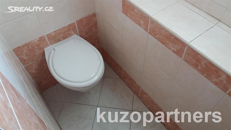 Pronájem bytu 2+1 48 m², Karla Buriana, Chomutov