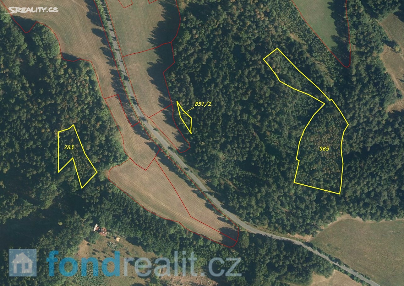 Prodej  lesa 12 622 m², Železný Brod, okres Jablonec nad Nisou