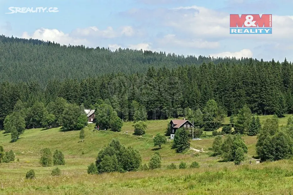 Prodej  lesa 13 446 m², Plánice, okres Klatovy