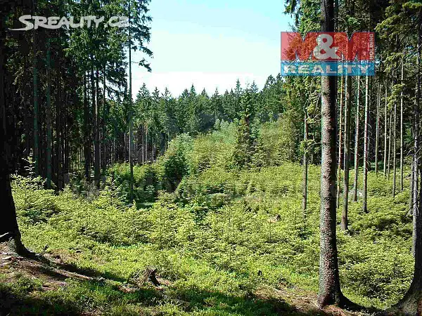 Prodej  lesa 20 806 m², Postupice - Čelivo, okres Benešov