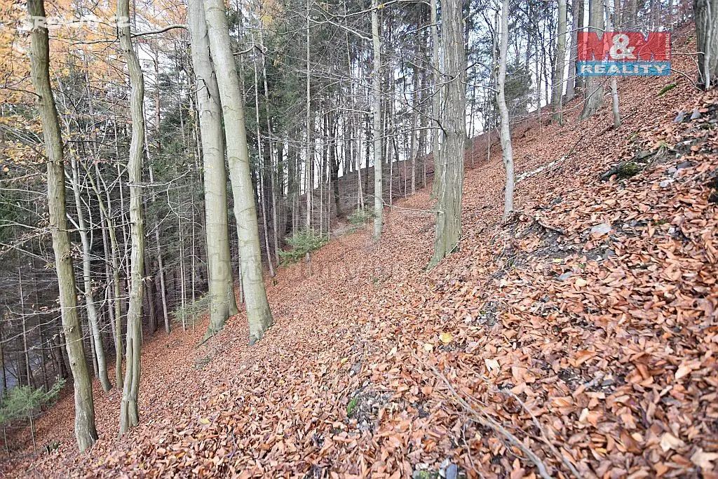Prodej  lesa 1 466 m², Železný Brod, okres Jablonec nad Nisou