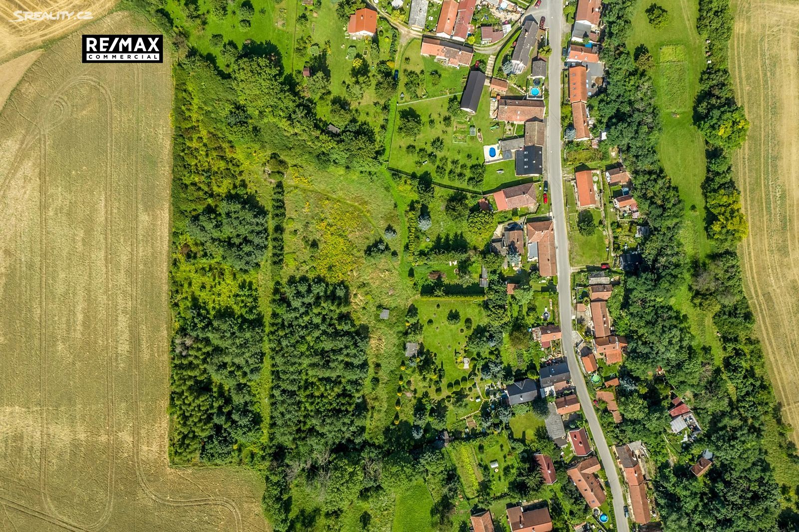 Prodej  lesa 11 908 m², Libeňská, Řepín