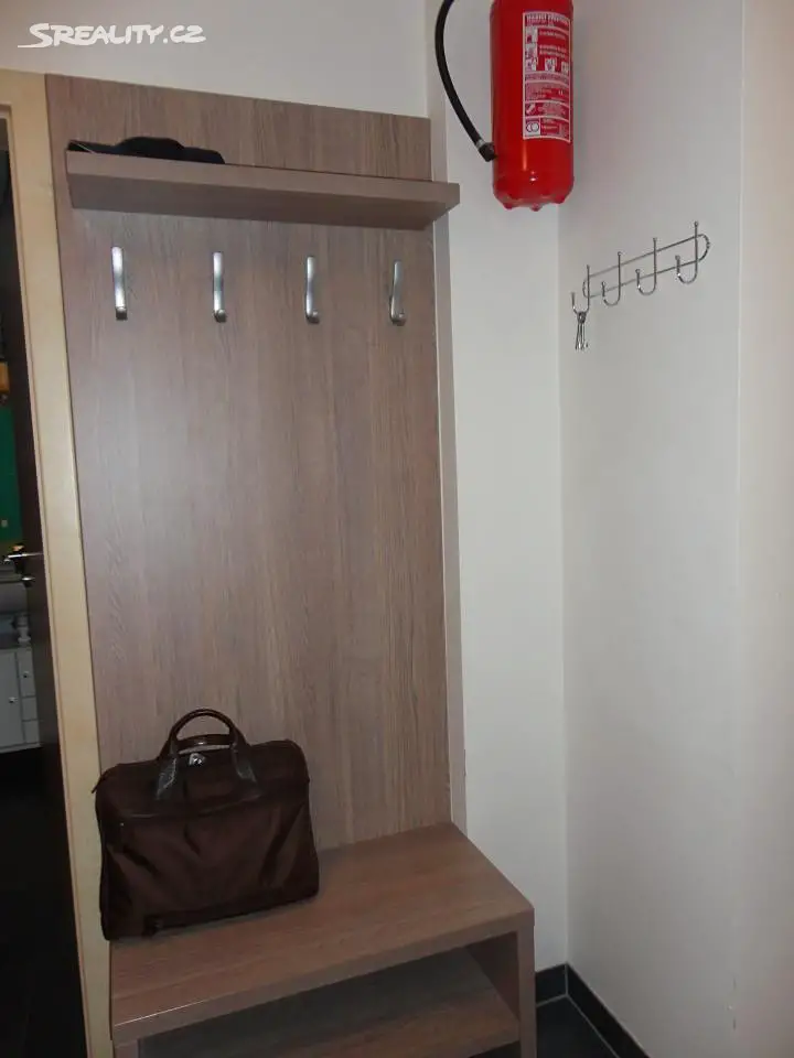 Pronájem bytu 3+kk 92 m², Pastviny, Brno - Komín