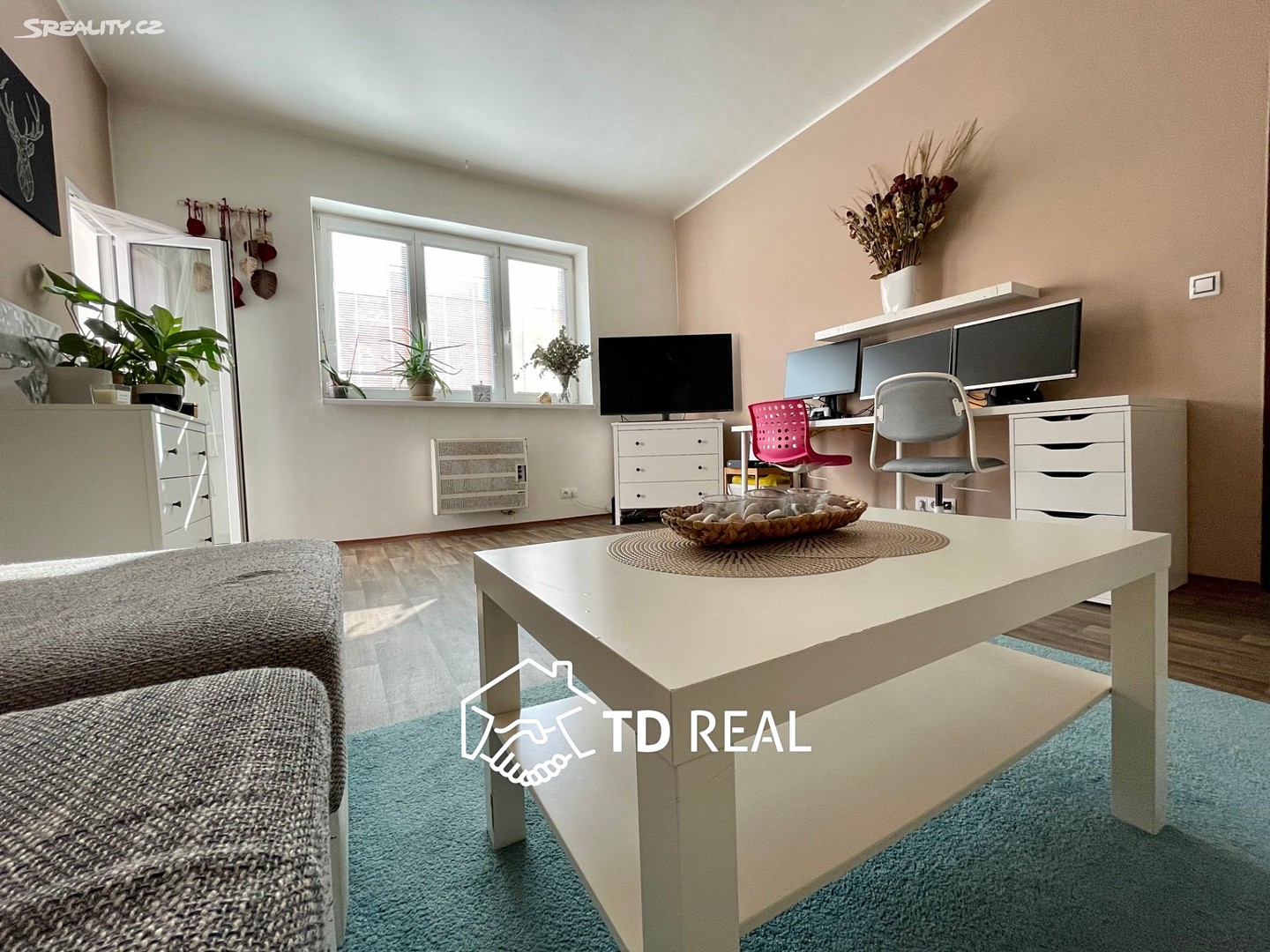 Prodej bytu 2+1 48 m², Náplavka, Brno - Staré Brno