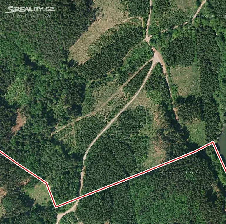 Prodej  lesa 2 142 m², Rudimov, okres Zlín