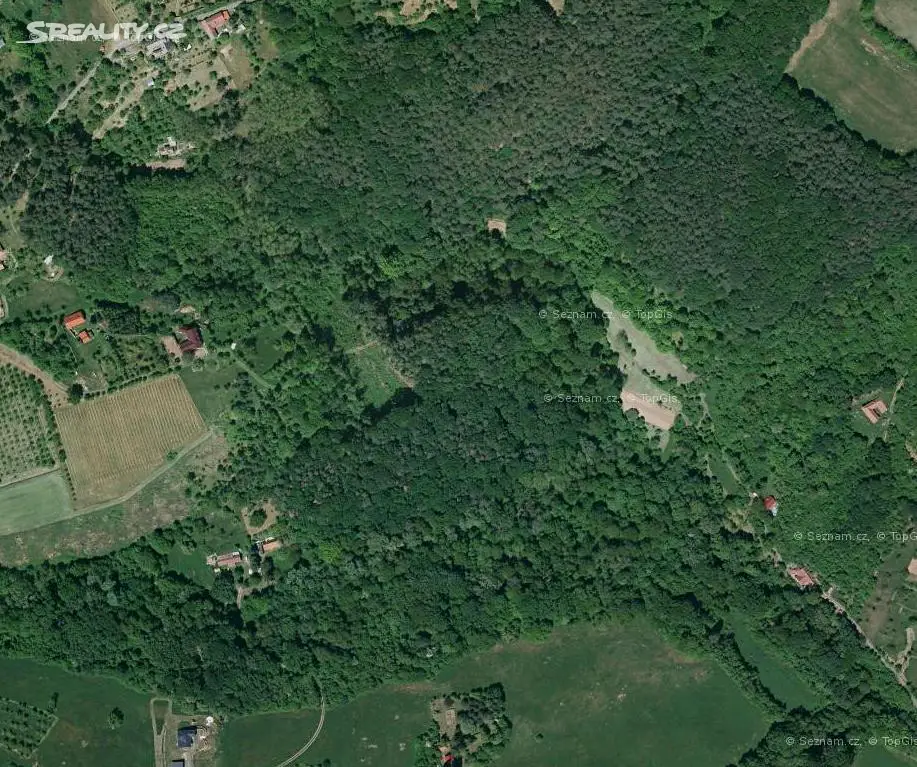 Prodej  lesa 2 975 m², Stříbrnice, okres Uherské Hradiště