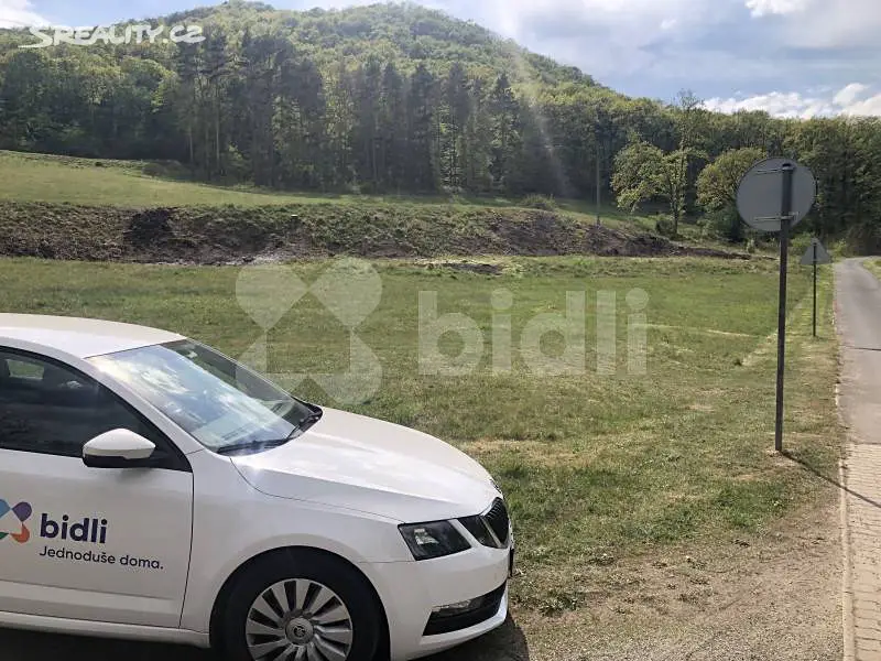 Prodej  louky 1 007 m², Sebuzínská, Ústí nad Labem - Brná