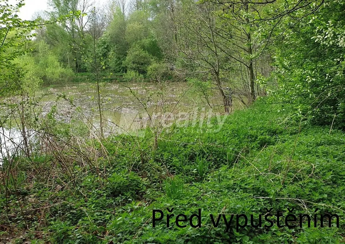 Prodej  rybníku (vodní plochy) 8 336 m², Votice, okres Benešov