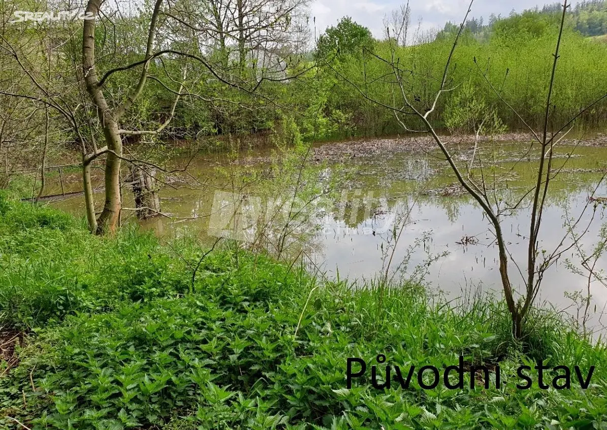 Prodej  rybníku (vodní plochy) 8 336 m², Votice, okres Benešov