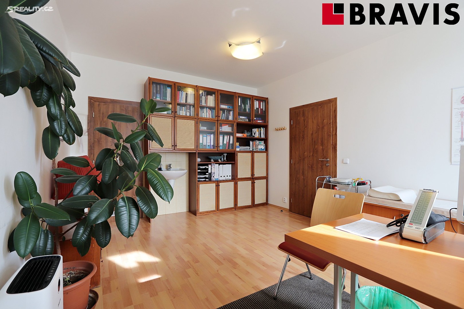 Pronájem bytu 3+kk 66 m², Pekařská, Brno - Staré Brno