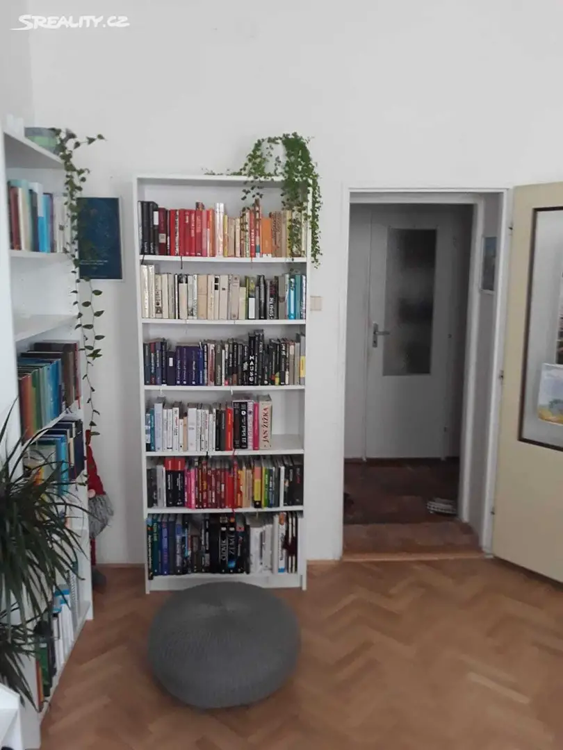 Pronájem bytu 2+1 55 m², Chlumova, Praha 3 - Žižkov