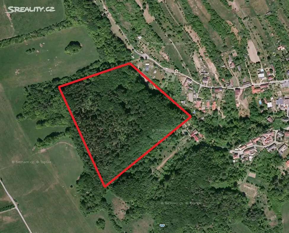 Prodej  lesa 817 m², Košíky, okres Uherské Hradiště