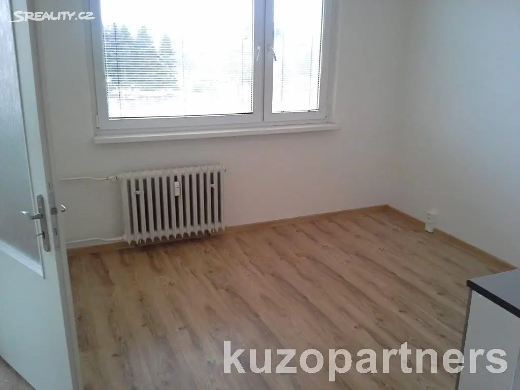 Pronájem bytu 1+1 35 m², Kostnická, Chomutov
