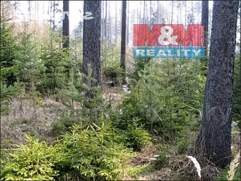 Prodej  lesa 2 217 m², Pavlíkov, okres Rakovník