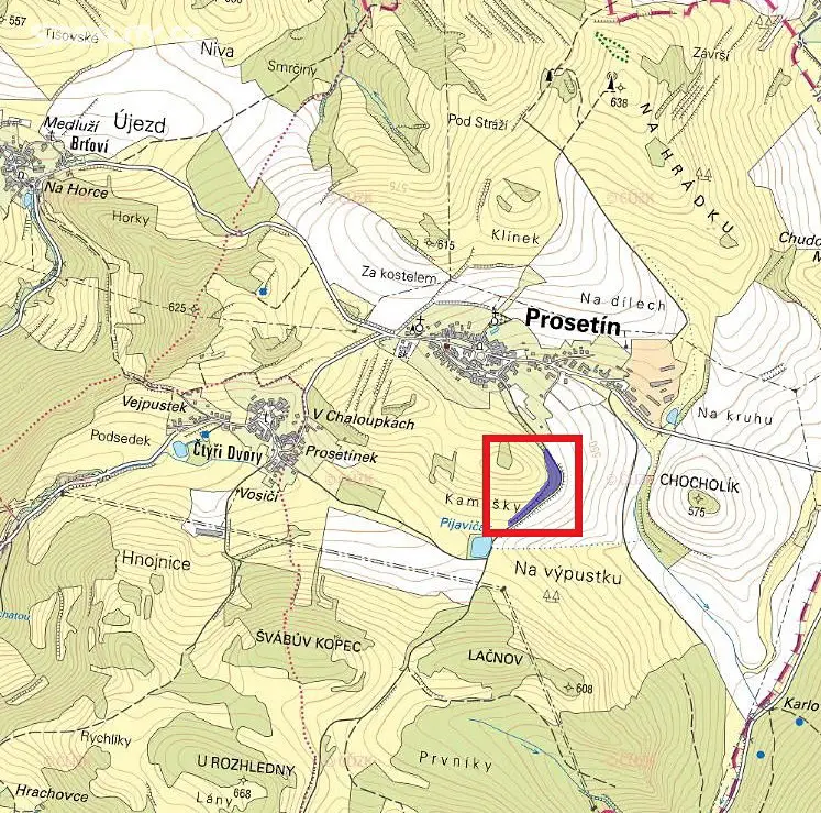 Prodej  lesa 396 m², Prosetín, okres Žďár nad Sázavou