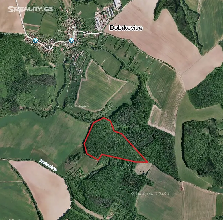 Prodej  lesa 5 515 m², Pašovice, okres Uherské Hradiště
