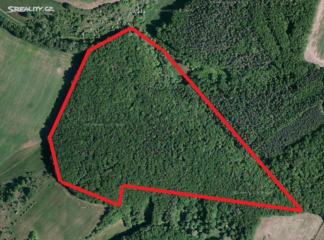 Prodej  lesa 5 515 m², Pašovice, okres Uherské Hradiště