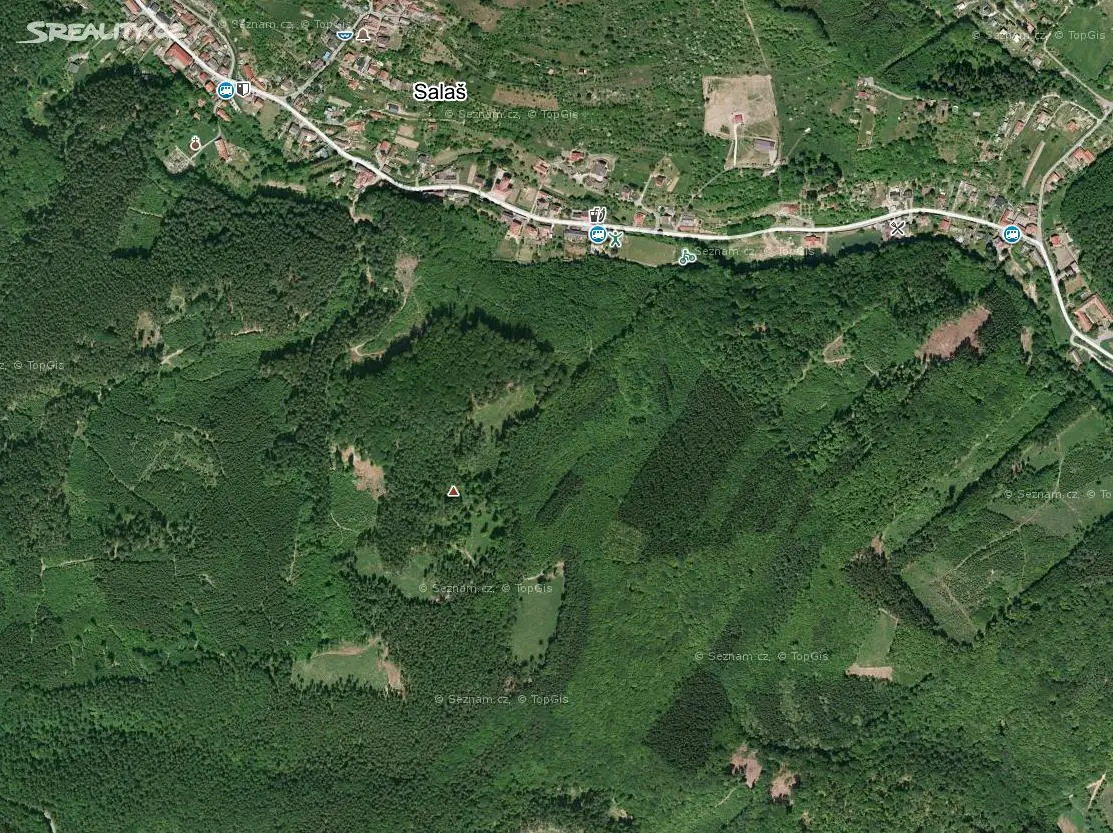 Prodej  lesa 919 m², Salaš, okres Uherské Hradiště