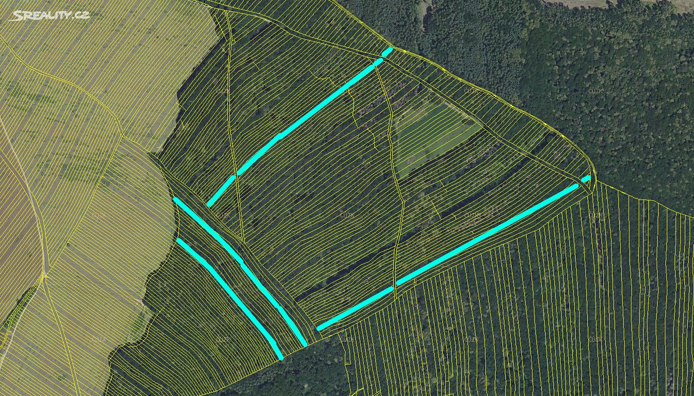 Prodej  lesa 3 825 m², Mistřice, okres Uherské Hradiště