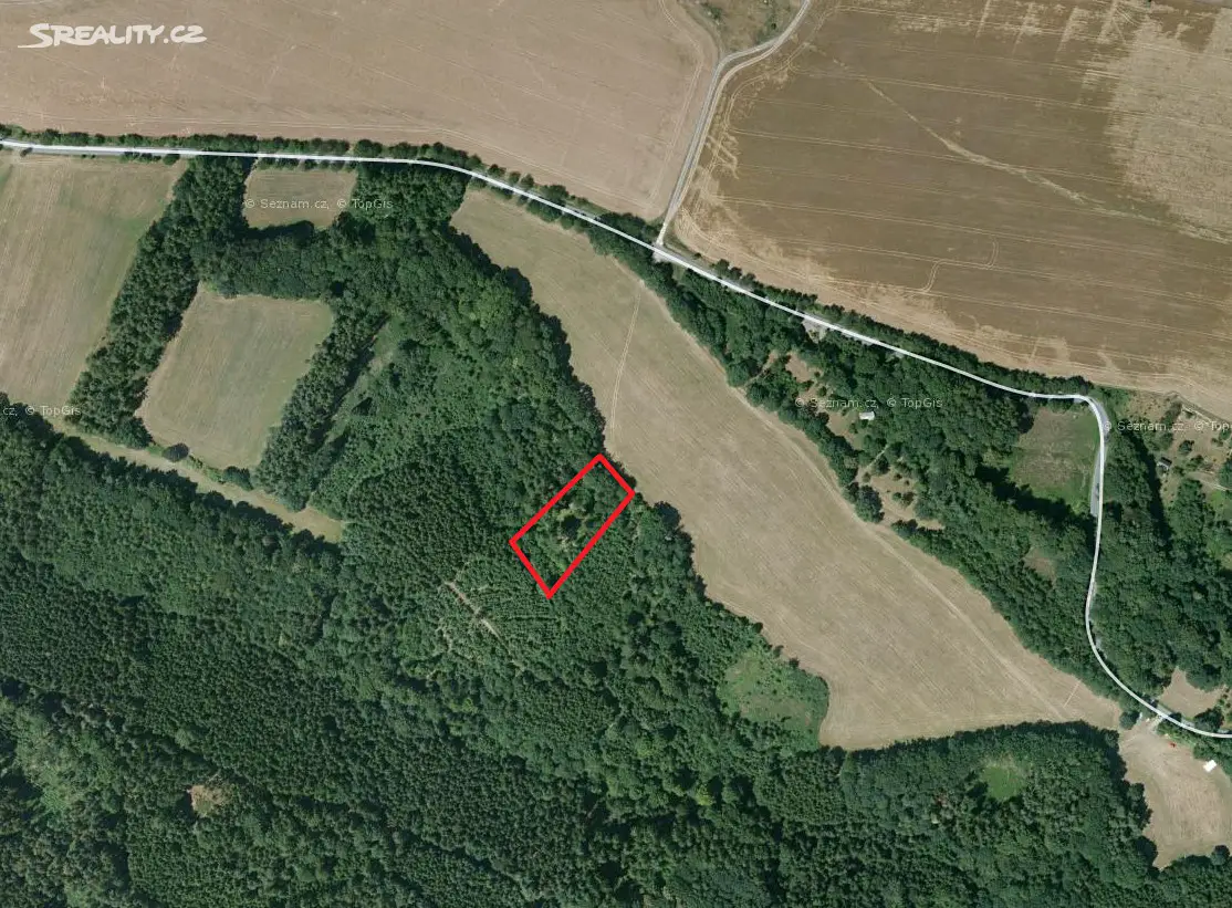 Prodej  lesa 1 310 m², Zvole, okres Šumperk