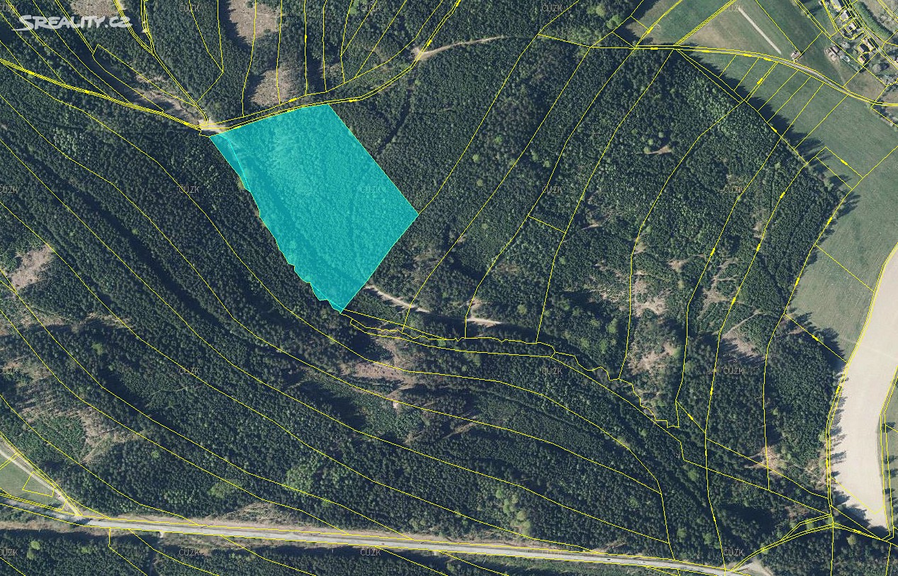 Prodej  lesa 25 308 m², Litomyšl - Pazucha, okres Svitavy
