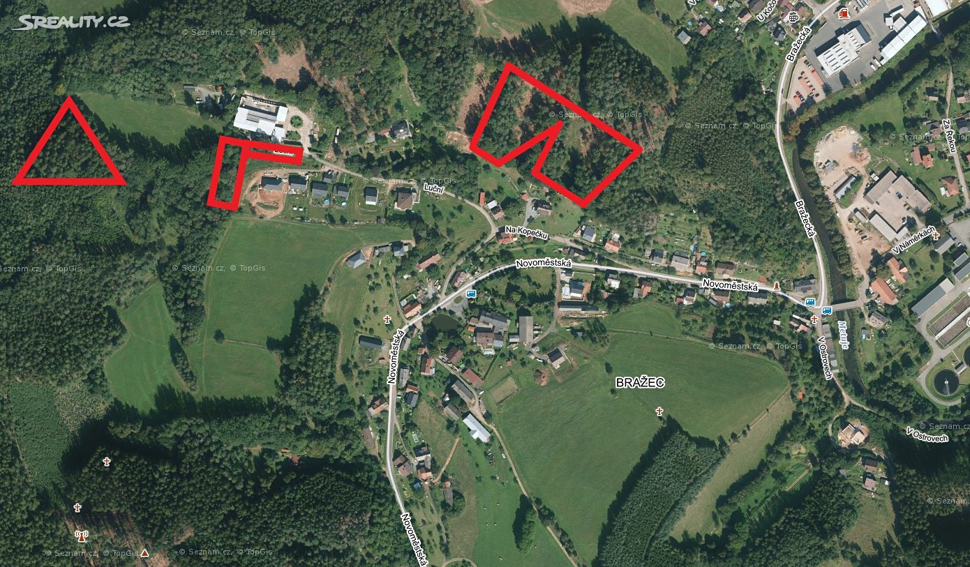 Prodej  lesa 9 843 m², Náchod - Bražec, okres Náchod