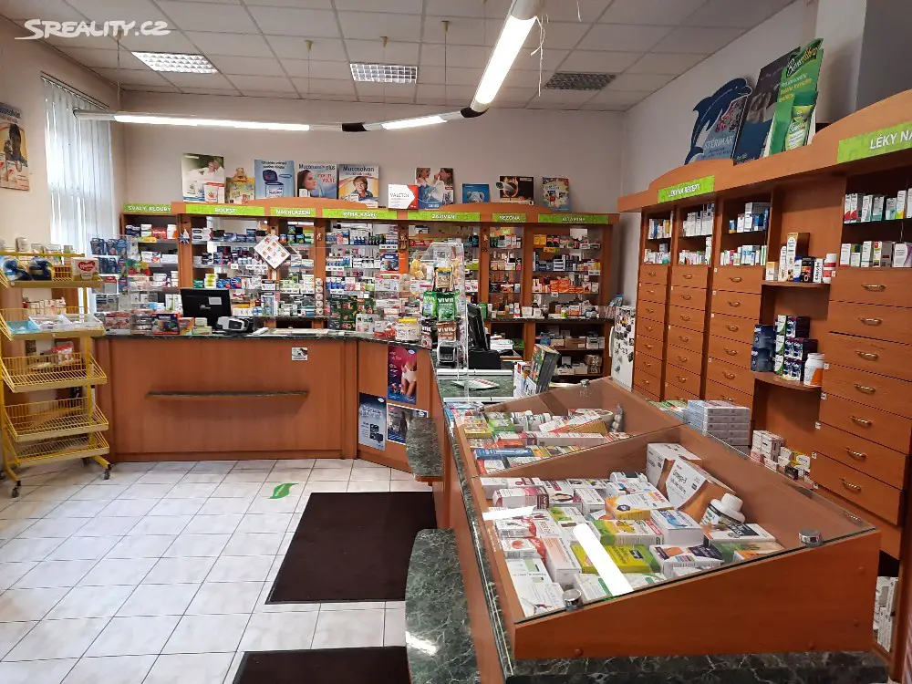 Prodej  rodinného domu 320 m², pozemek 267 m², Školní, Lovosice