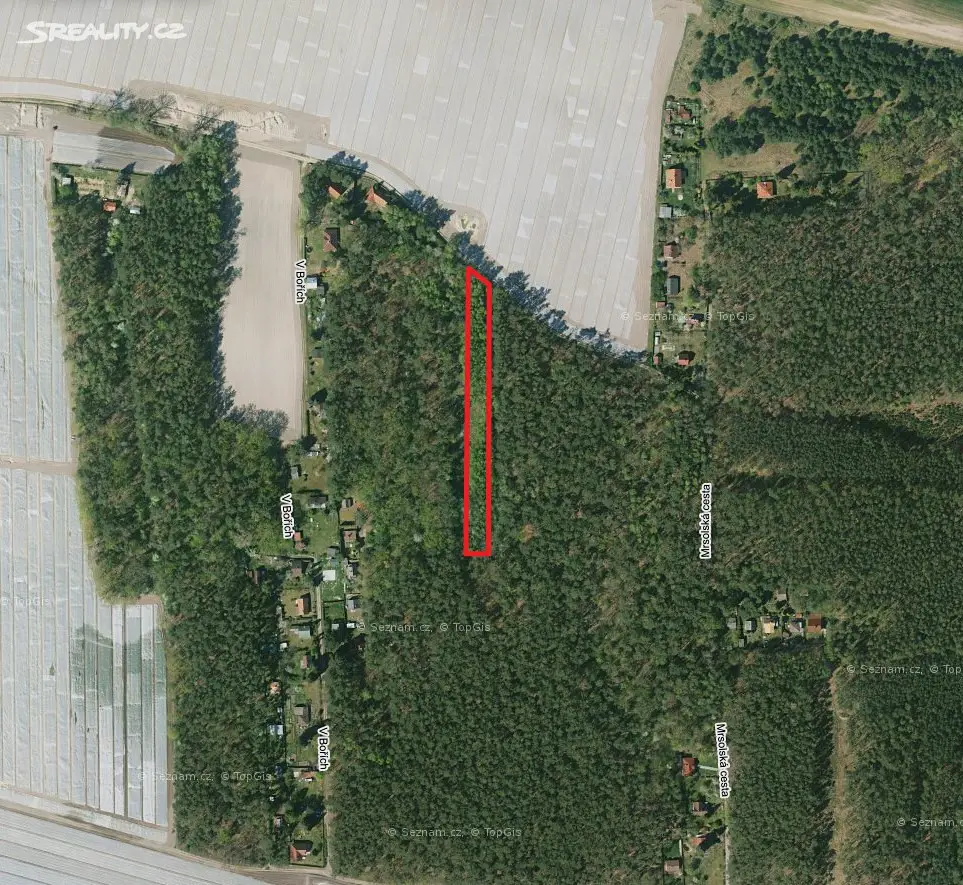 Prodej  lesa 2 856 m², Sadská, okres Nymburk