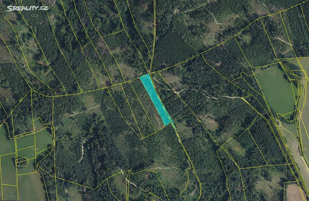 Prodej  lesa 1 463 m², Dlouhomilov, okres Šumperk