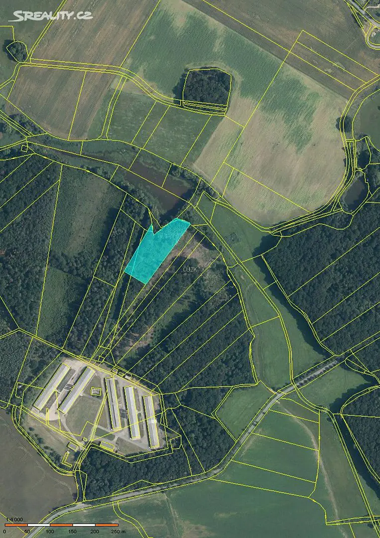 Prodej  lesa 8 985 m², Kasalice, okres Pardubice
