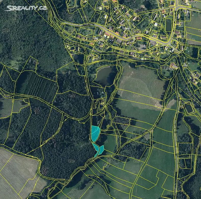 Prodej  lesa 1 459 m², Žumberk, okres Chrudim