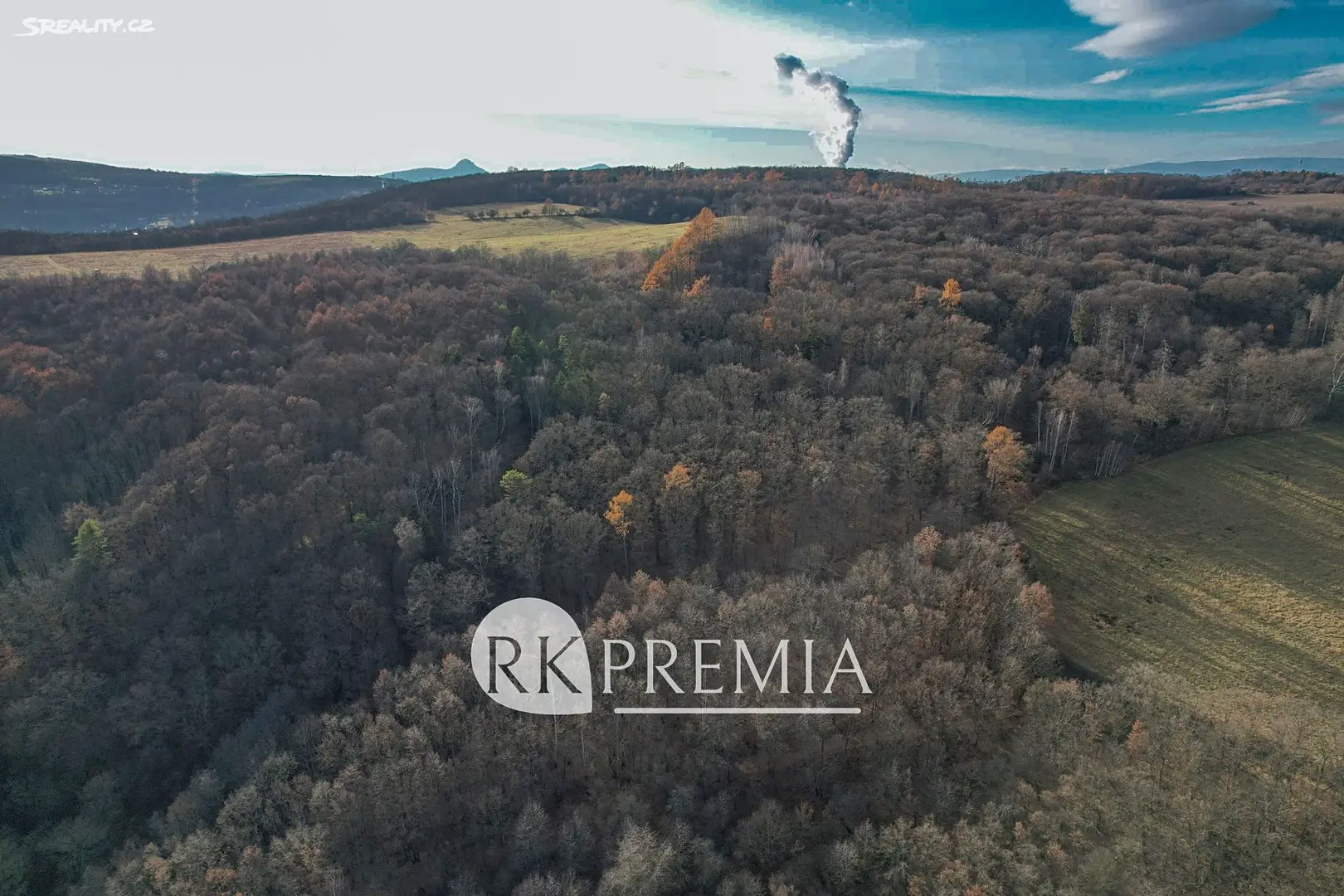 Prodej  lesa 41 315 m², Bžany - Lysec, okres Teplice