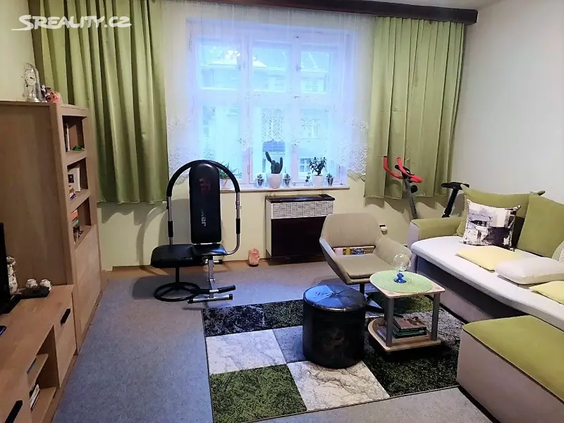 Prodej bytu 1+1 47 m², Mlýnská, Liberec - Liberec IV-Perštýn